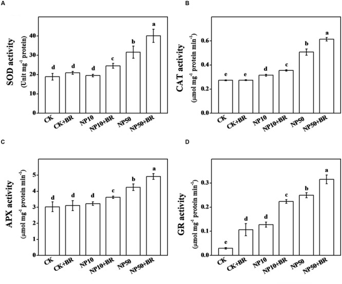 FIGURE 4