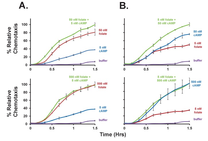 Figure 4—figure supplement 1.