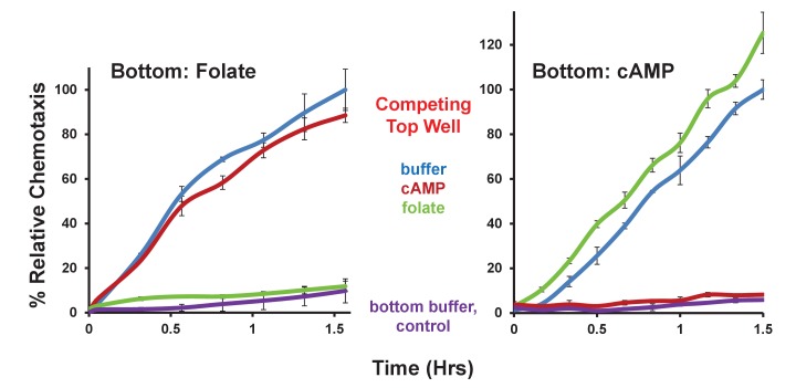 Figure 4—figure supplement 2.