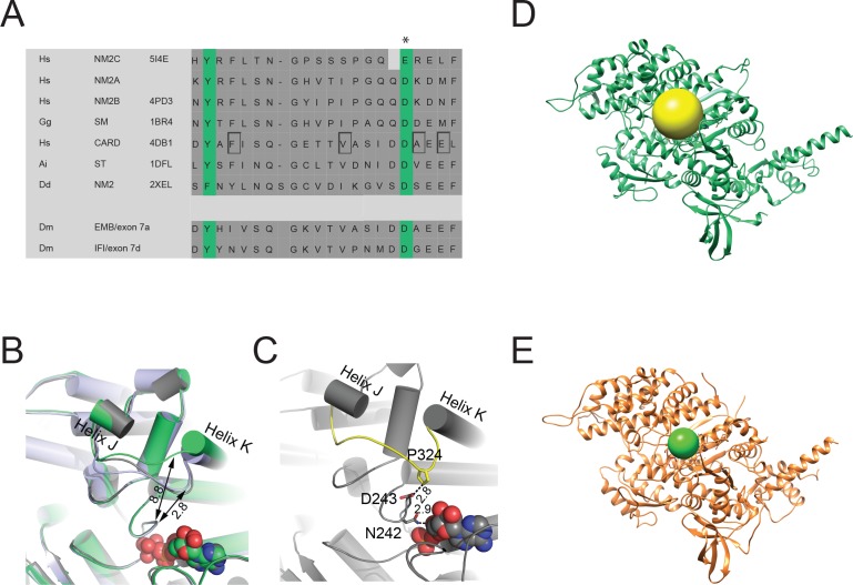 Figure 2—figure supplement 1.