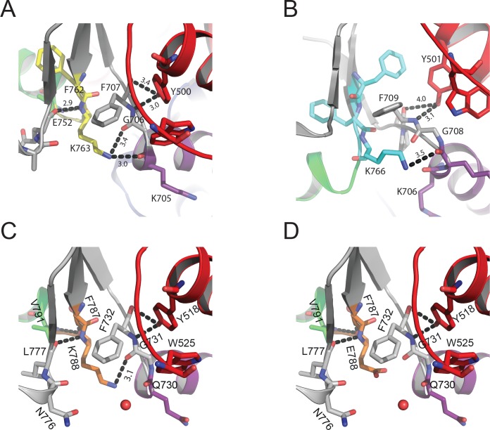 Figure 3—figure supplement 1.