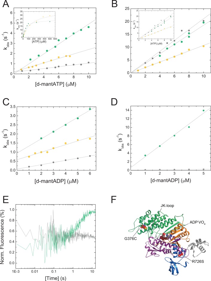 Figure 4—figure supplement 1.