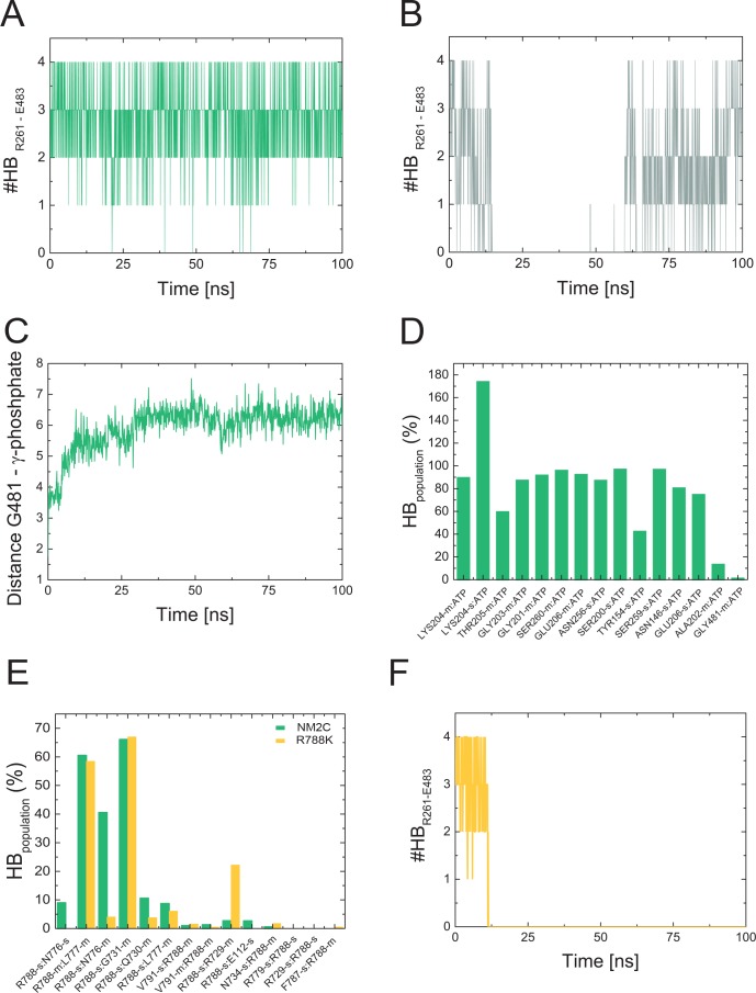 Figure 5—figure supplement 1.