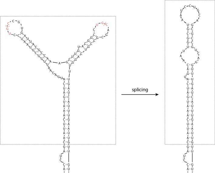 Figure 4—figure supplement 1.