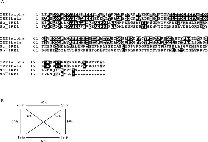 Figure 4—figure supplement 3.