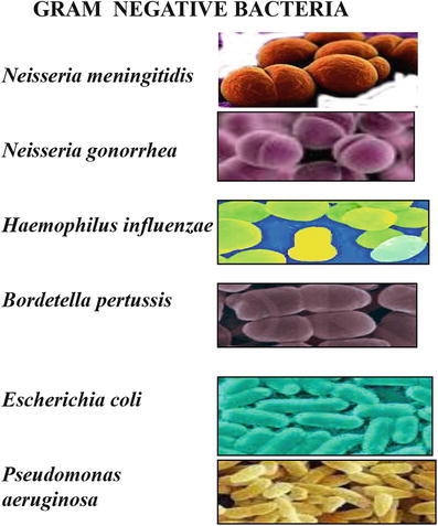 Fig. 8.8