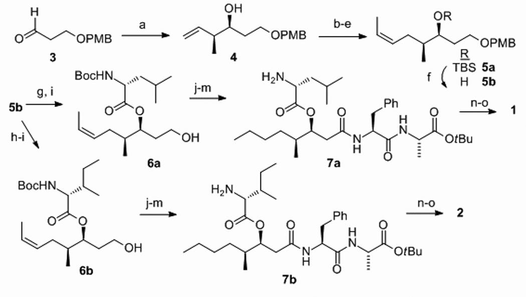 Scheme 1