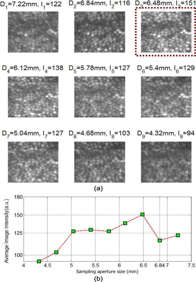 Fig. 7