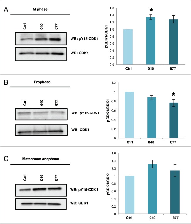 Figure 5.