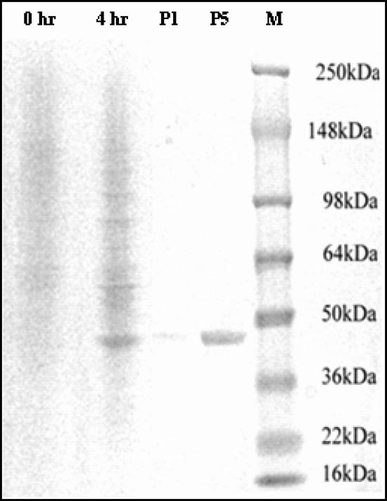 FIG. 3.