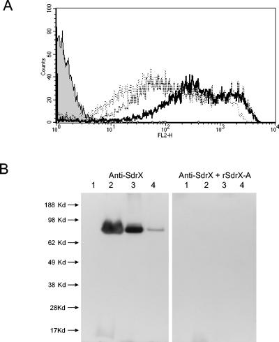 FIG. 4.