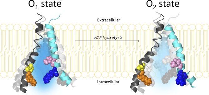 Figure 10.