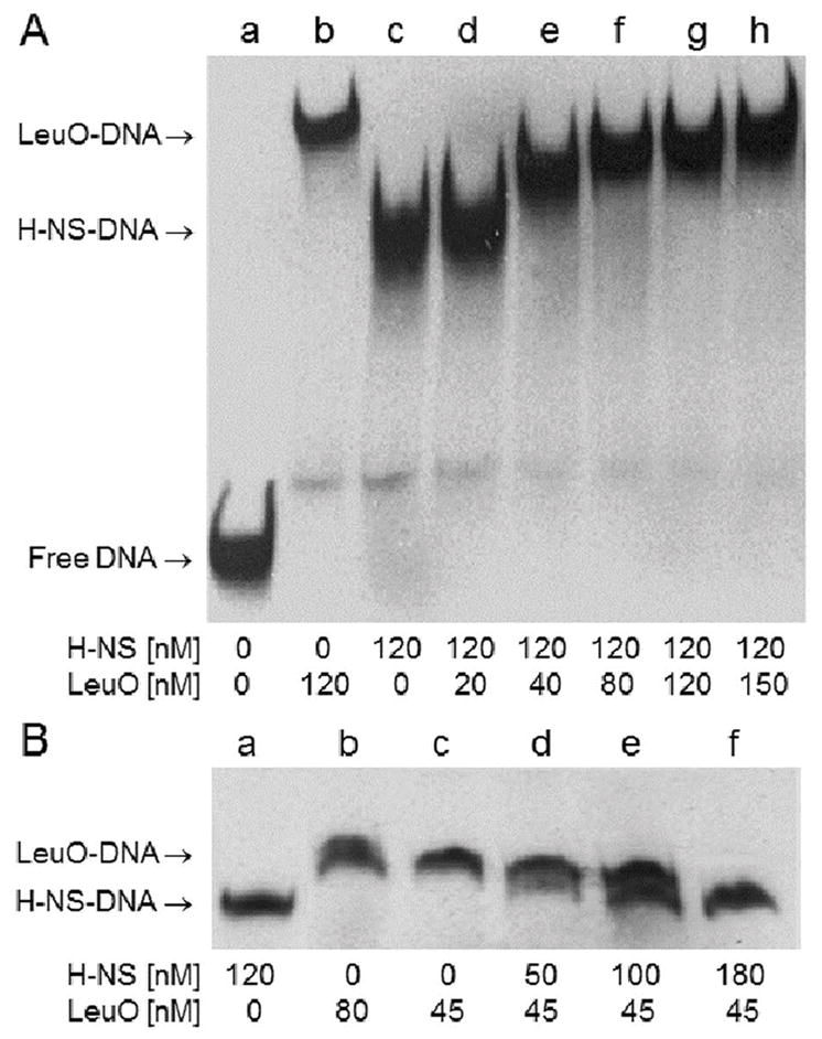 Fig. 5