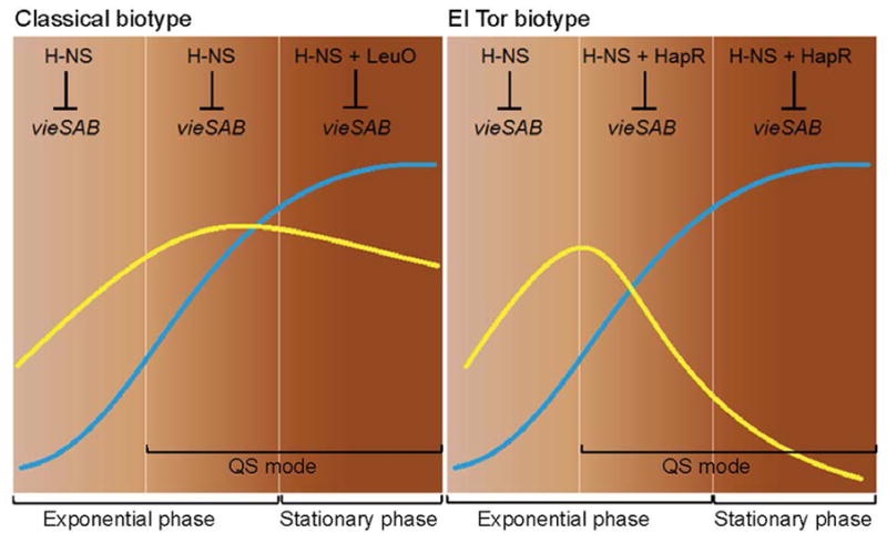 Fig. 11