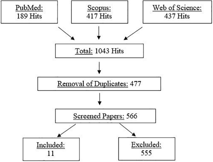 FIGURE 1