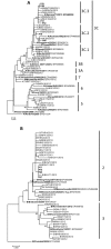 Fig 2