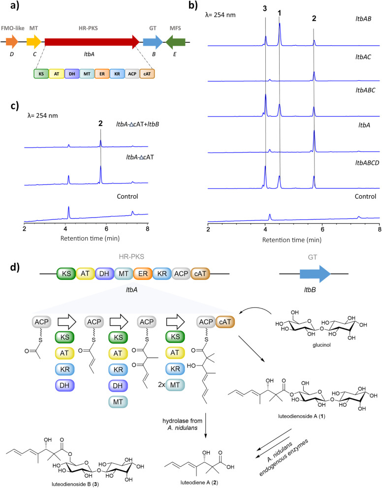 Fig. 2