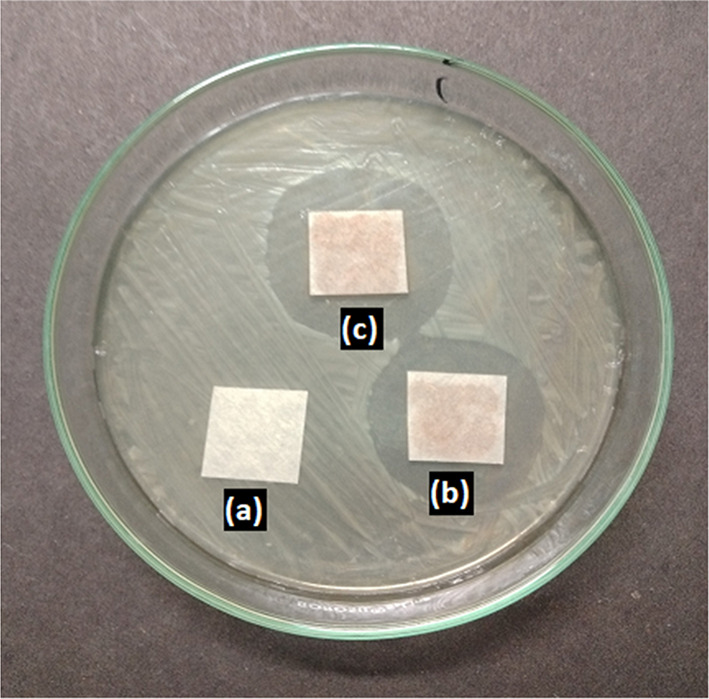 Fig. 9