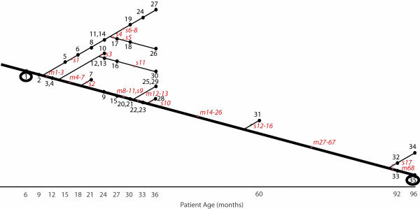 Fig. 1.