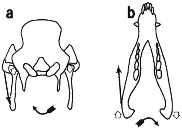 Fig. 9