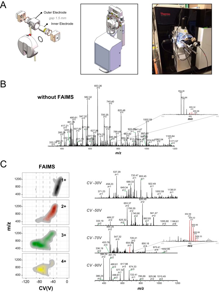 Fig. 1.