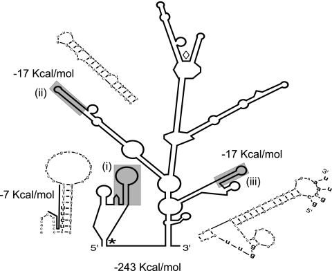 FIG. 6.