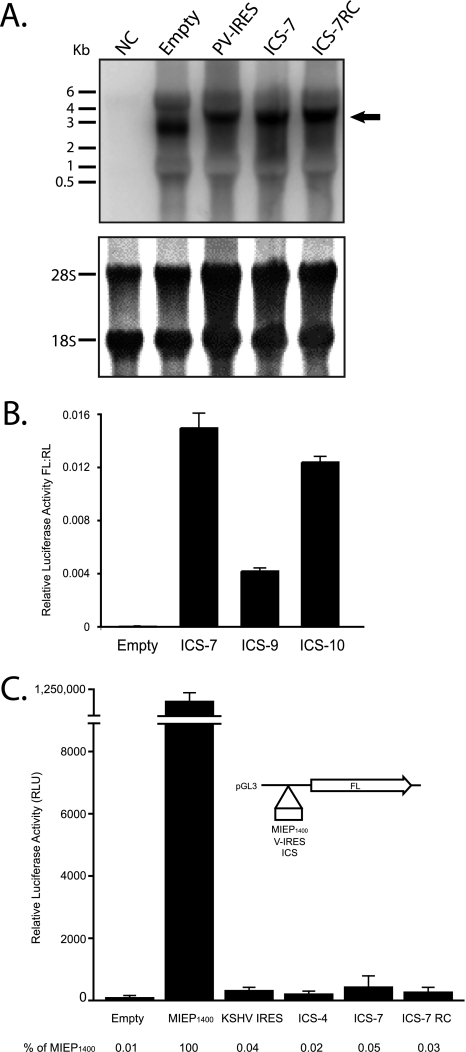 FIG. 5.