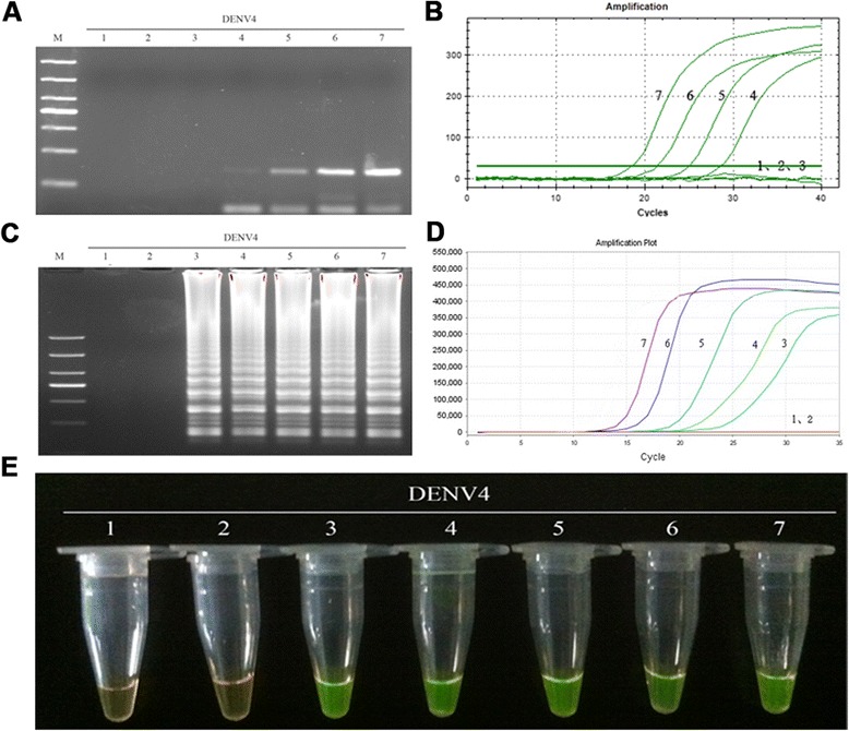 Fig. 11