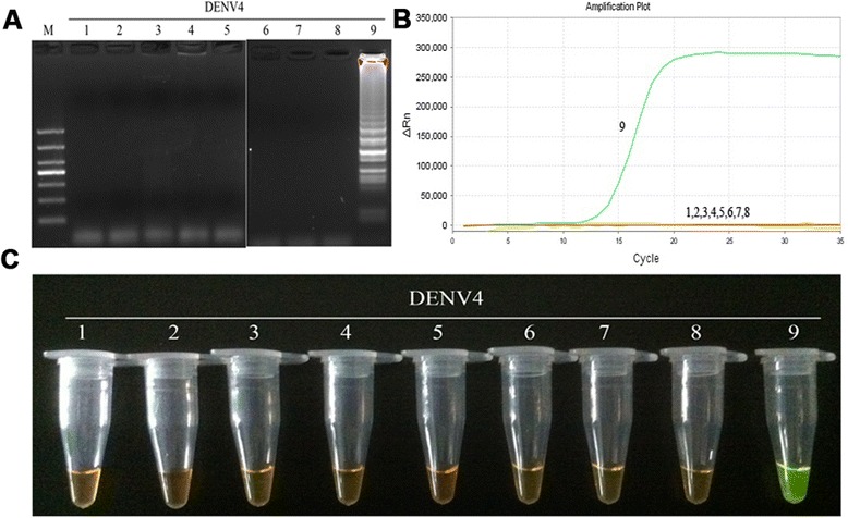 Fig. 6