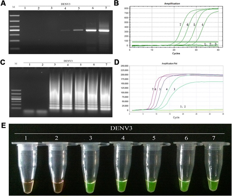 Fig. 10