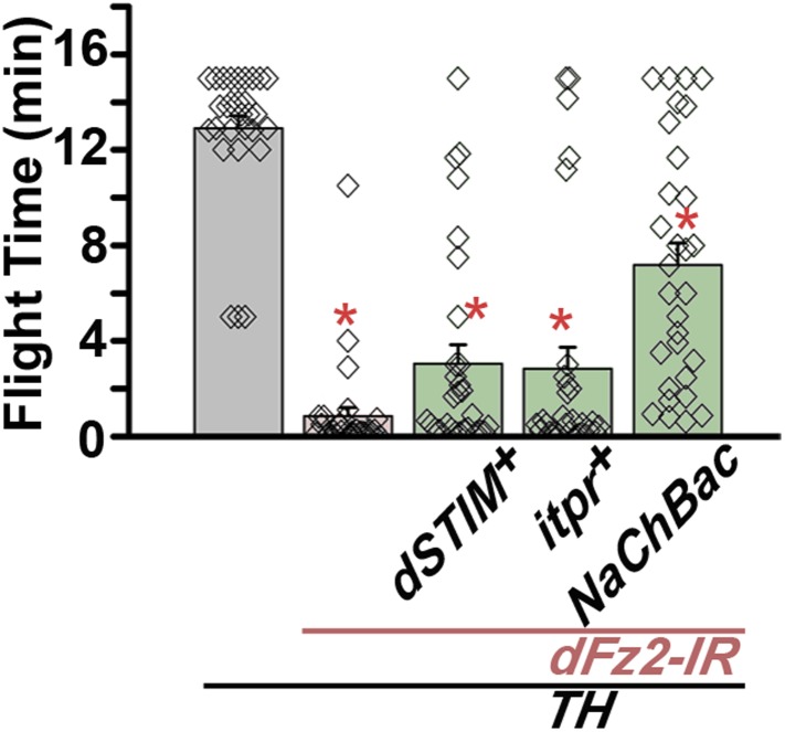 Figure 7—figure supplement 4.