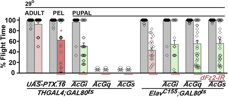 Figure 3—figure supplement 2.