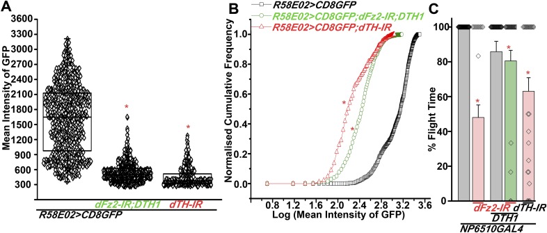 Figure 6—figure supplement 1.