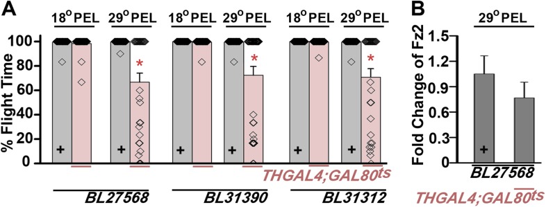 Figure 1—figure supplement 2.