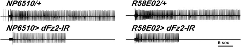 Figure 2—figure supplement 1.