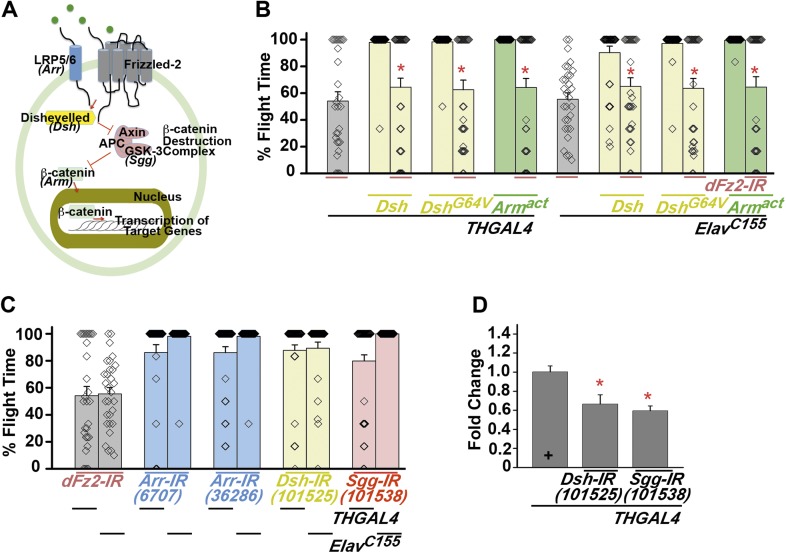 Figure 3—figure supplement 1.