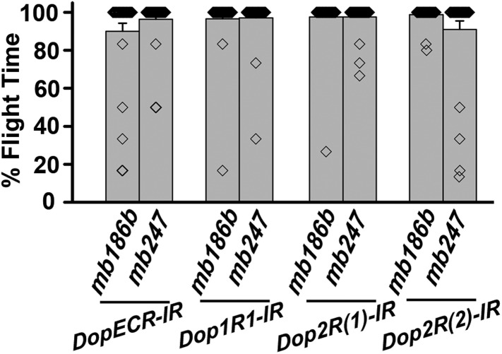 Figure 7—figure supplement 1.