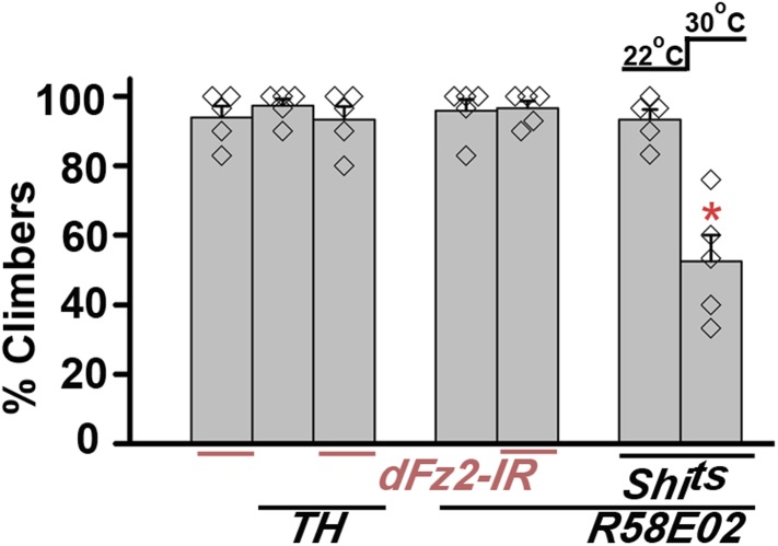 Figure 7—figure supplement 3.