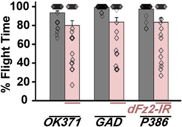 Figure 1—figure supplement 1.