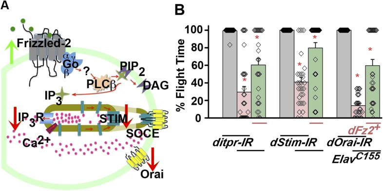 Figure 3—figure supplement 3.