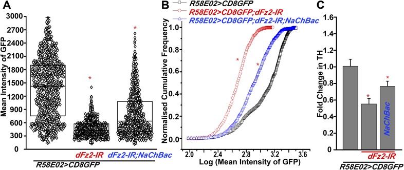 Figure 5—figure supplement 1.