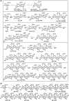 Scheme 2