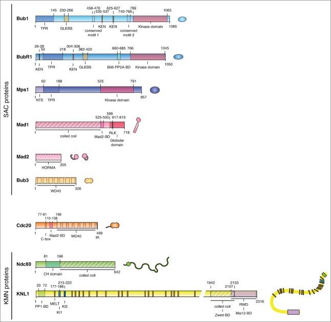 Figure 2.