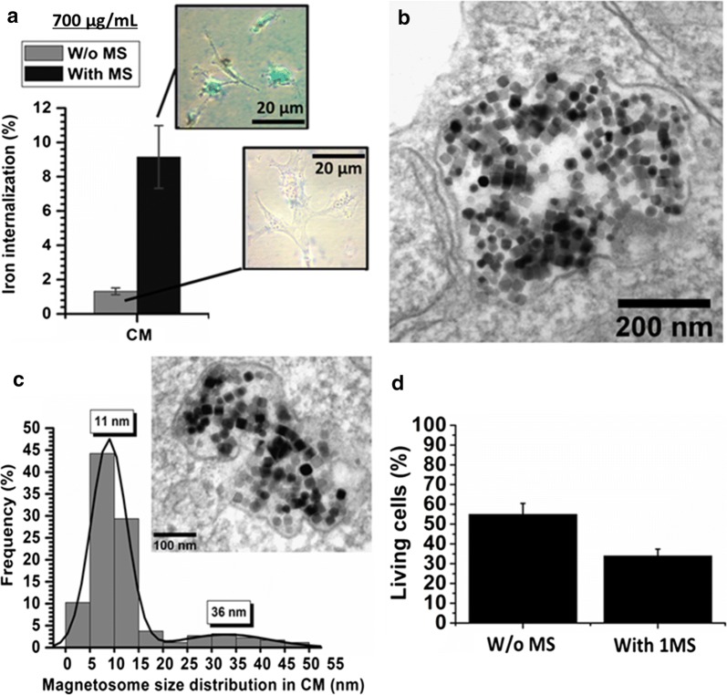 Fig. 2