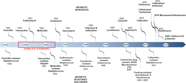 FIGURE 1