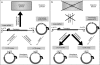 <b>Figure 1</b>