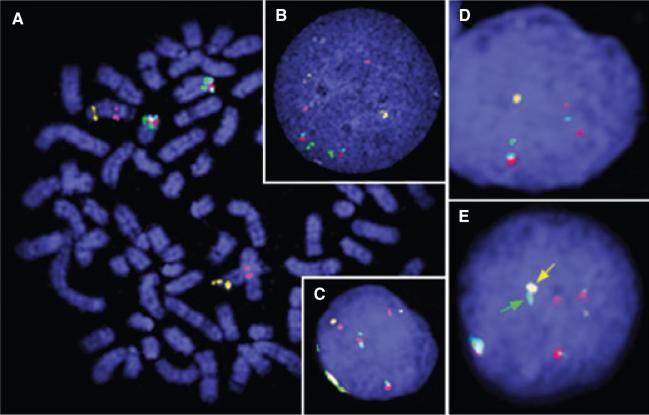 Figure 4