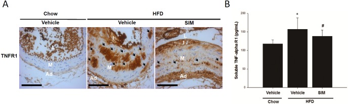 Fig 8