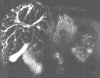 Fig. 20