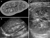 Fig. 5